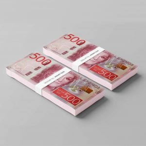 Money Gun med sedlar